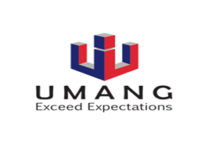 logo 21
